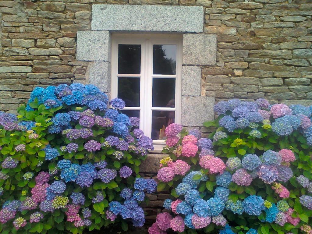 Bed and Breakfast Le Petit Kerangoi Pont-Aven Zewnętrze zdjęcie